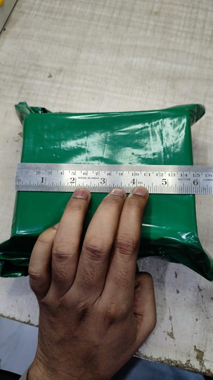 Artificial Leaf Curtain LED String Light Pack of 1 (10 Strings)